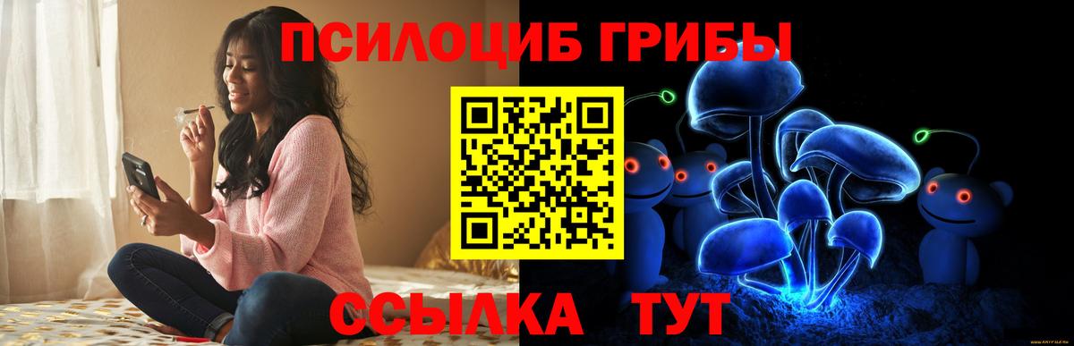 Псилоцибиновые грибы прущие грибы  Вход с VPN  Морозовск 